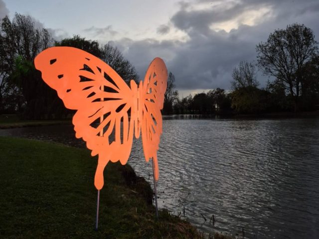 PHOTO-2025-10-25-21-14-01